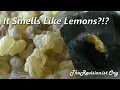 Boswellia Carterii Frankincense Taste Test Scent Profile