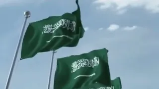 همه حتى القمة   فيديو كليب حصري          دندنها