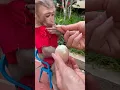 This Baby Monkey Tried a Boiled Egg His Reaction Is Too Cute