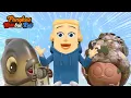 Download Lagu BreadBarbershop |  Rambut yang cemerlang | INDONESIA Dubbing