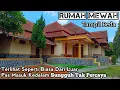 Download Lagu Rumah Mewah Diluar Nalar Terlihat Biasa Dari Luar Pas Masuk Kedalam Bikin Nostalgia