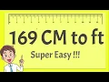 169 cm in feet