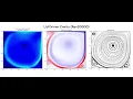 Unsteady Lid Driven Cavity with Python Re 20000