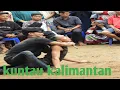 Download Lagu penampilan kuntau di desa nateh HST // KUNTAU KALIMANTAN