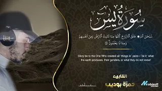                             دندنها