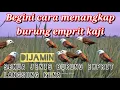 Download Lagu BEGINI 🔥CARA MENANGKAP BURUNG || EMPRIT KAJI❗❗