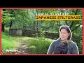 How to Identify Control Japanese Stiltgrass Microstegium vimineum