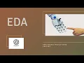 Data Science Project Series EDA with ChatGPT P-2