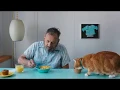 Keyboard Cat Bento being a helper