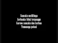 Download Lagu Video Lirik  Lagu Cikal Karya Iwan Fals