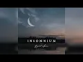 INSOMNIUM - The Wanderer (2021)