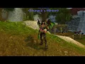 World of Warcraft Patch 9 2 - Picking a succubus or the incubus