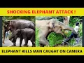 Download Lagu Shocking Footage of Elephant Attack goes Viral | Elephant Attack and kills a men!