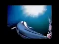 Iklan Indosiar ikan bisa terbang??? || Iklan jadul 90an || Indosiar