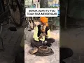ular itu tuli, dan ini trik pawang suling ular cobra sebenarnya #shorts