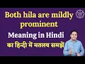 Both hila are mildly prominent meaning in Hindi Both hila are mildly prominent ka matlab