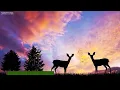 9 Hours of Soothing Sleep Music: Relaxing Piano Music, Sleeping Music, Fall Asleep ★77