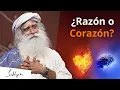 Download ¿Razón o Corazón: a cuál escuchar? | Sadhguru mp4 3gp mp3 videos - waplic
