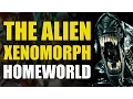 Alien The Xenomorph Homeworld