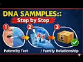 At Home DNA Paternity Kit - https homednapaternitykit com