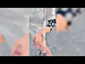 Download Lagu Instagram Story Status || Instagram Love Reels Status || Status For Instagram || Full Screen Status✓
