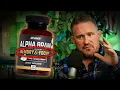 Alpha Brain Review Does it REALLY Work Joe Rogan s Supplement