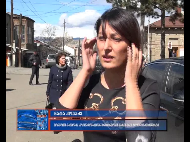 ბორჯომის გამგებლის წინააღმდეგ შეტანილი სარჩელის განხილვა  გადაიდო