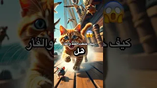 هل تعلم كيف خلق الله القط والفأر في سفينة نوح عليه السلام قصص دينية قصص حكيمة Prismlivest 