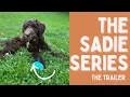 The Sadie Series - Trailer