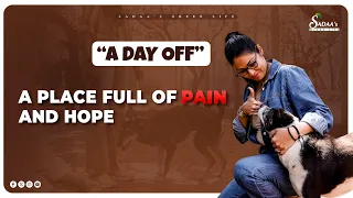“A day off” - A Place Full of Pain... and Hope | Animal Rescue Visit | Sadaa’s Green Life