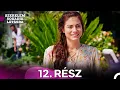Download Lagu Szerelem Sokadik Látásra 12.Rész (Magyar Szinkron)