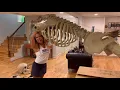 How To Assemble 12 Ft Skeleton Unboxing Assembly
