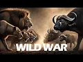 CADAWGII UGU DAMEEYEY | Wild | Nature | Rashka Barre