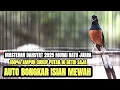 Lagu MASTERAN MURAI BATU PAGI HARI TEMBAKAN TERBAIK SEPANJANG MASA BONGKAR  MATERI MEWAH