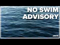 No swimming advisory issued for a cove on Lake Norman following a discharge of sewage