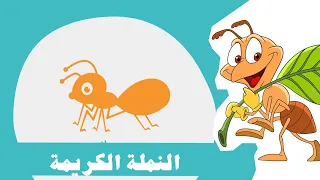 قصة النملة الكريمة وجارتها البخيلة   بودكاست قبل النوم دندنها