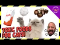 FOODS THAT ARE TOXIC TO CATS