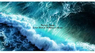 Download Tyler Brown Williams - Never Stop (Kygo Remix) MP3