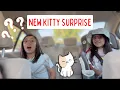 SURPRISING THE KIDS GOING TO ADOPT A NEW KITTY CAT FROM PETCO FAMILY VLOG