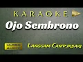 Download Lagu Karaoke Ojo Sembrono Manthous