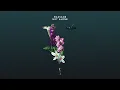 Massane - Not Alone