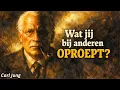 Lagu Als Mensen ZO Op Jou Reageren, Heb Je Iets Zeldzaams (Jung verklaart)