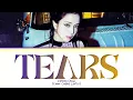 Lagu JISOO TEARS Lyrics (Color Coded Lyrics)