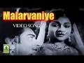 Lagu Malarvaniye Video Song | Naga Nandhini Movie Songs | K. Balaji, Anjali Devi, Devika