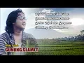 Lagu Dedy Pitak ♪ GUNUNG SLAMET ⇆ Campursari Indo ©dpstudioprod 🇮🇩