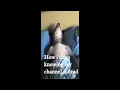 How I sleep knowing my channel is dead