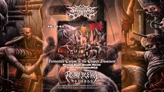 Rotten Vomit - Shemale Carnivore 2015 Album Teaser