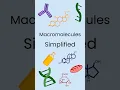 Macromolecules Simplified