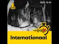 Download Lagu Israëlische marine entert Gazavloot met hulpgoederen, sommige schepen varen door