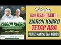 Jangan Takut !! Ziaroh Kubro Tetap Ada 